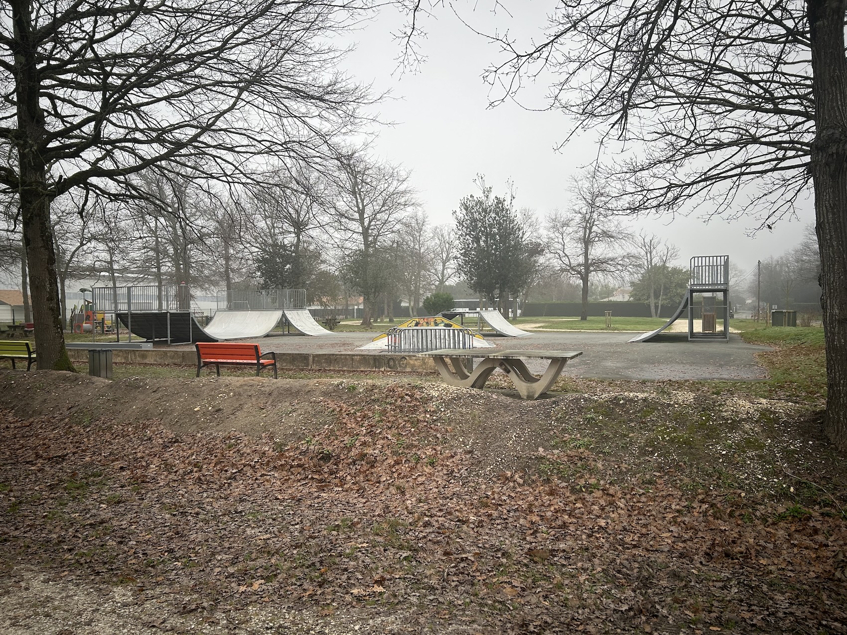 Étaules skatepark